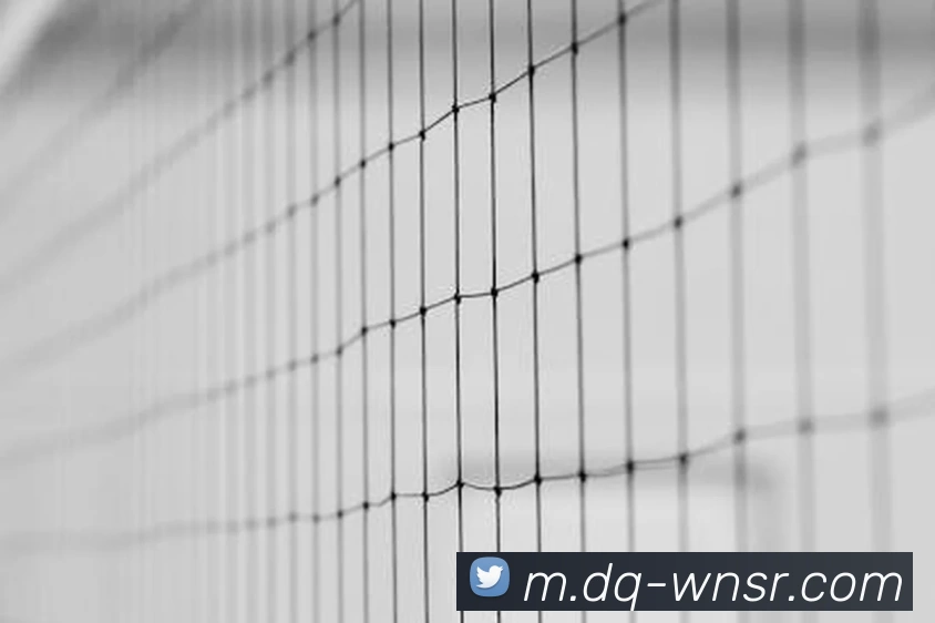 威尼斯人官网品牌故事