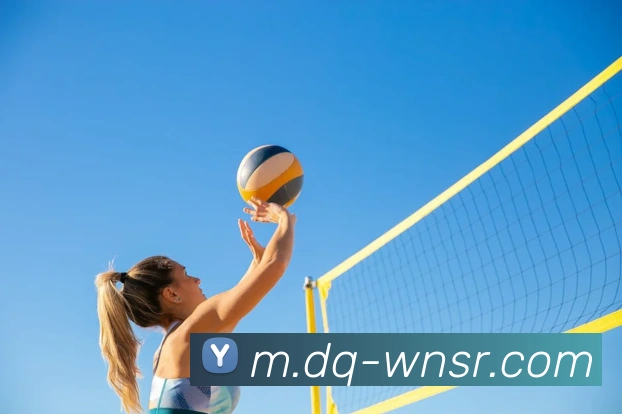 威尼斯人官网服务体系